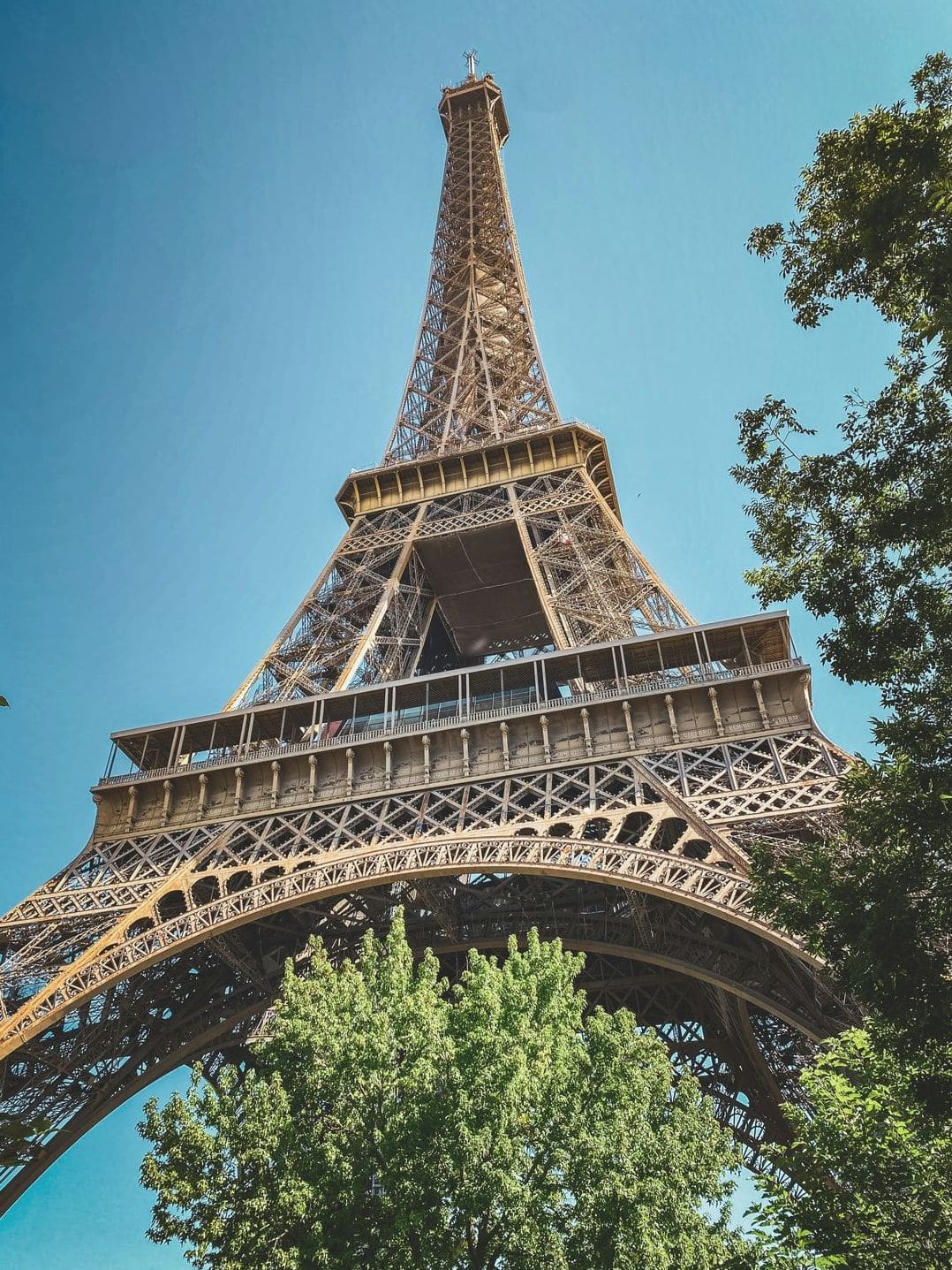 Lumière Française 15
